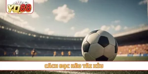 cách đọc kèo tài xỉu