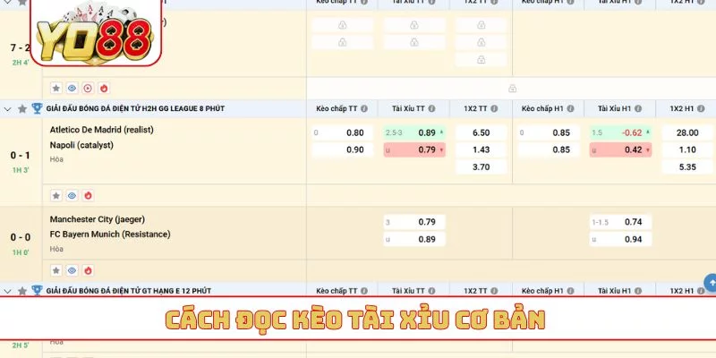 Cách đọc kèo tài xỉu cơ bản Cách đọc kèo tài xỉu cơ bản