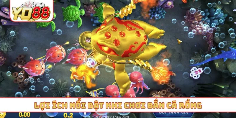 Lợi ích nổi bật khi chơi bắn cá rồng Lợi ích nổi bật khi chơi bắn cá rồng