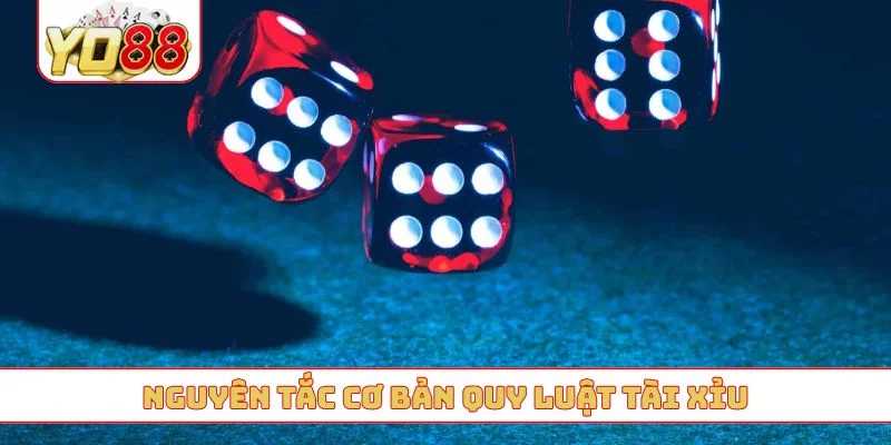 Nguyên tắc cơ bản quy luật tài xỉu