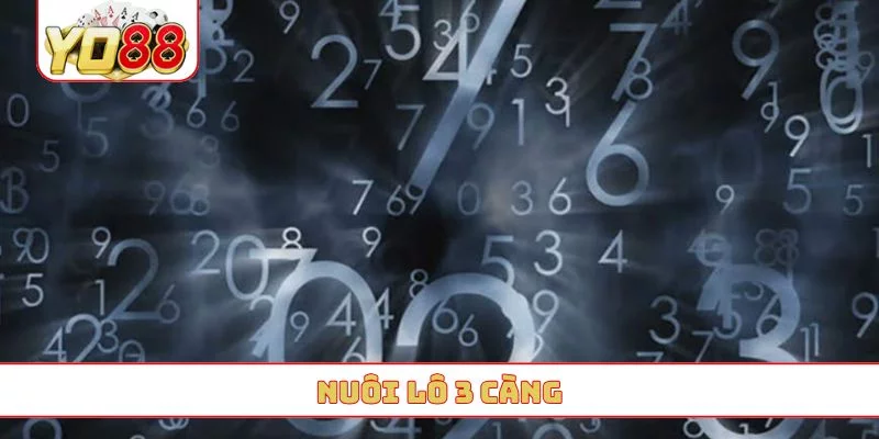 nuôi lô 3 càng