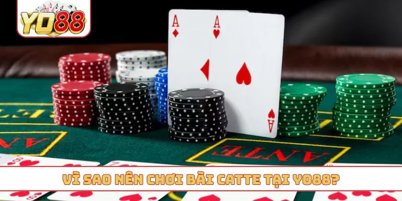 Vì sao nên chơi bài catte tại YO88?